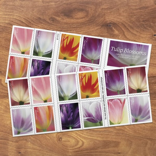 100 Tulip Blossom Forever Stamps